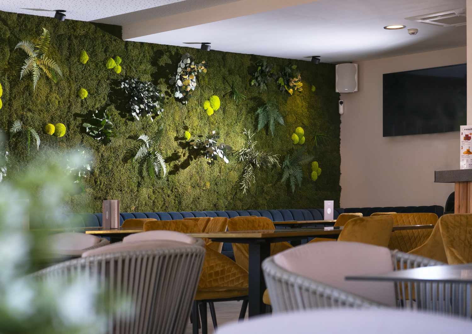 INN Mallorca Aparthotel foto 49