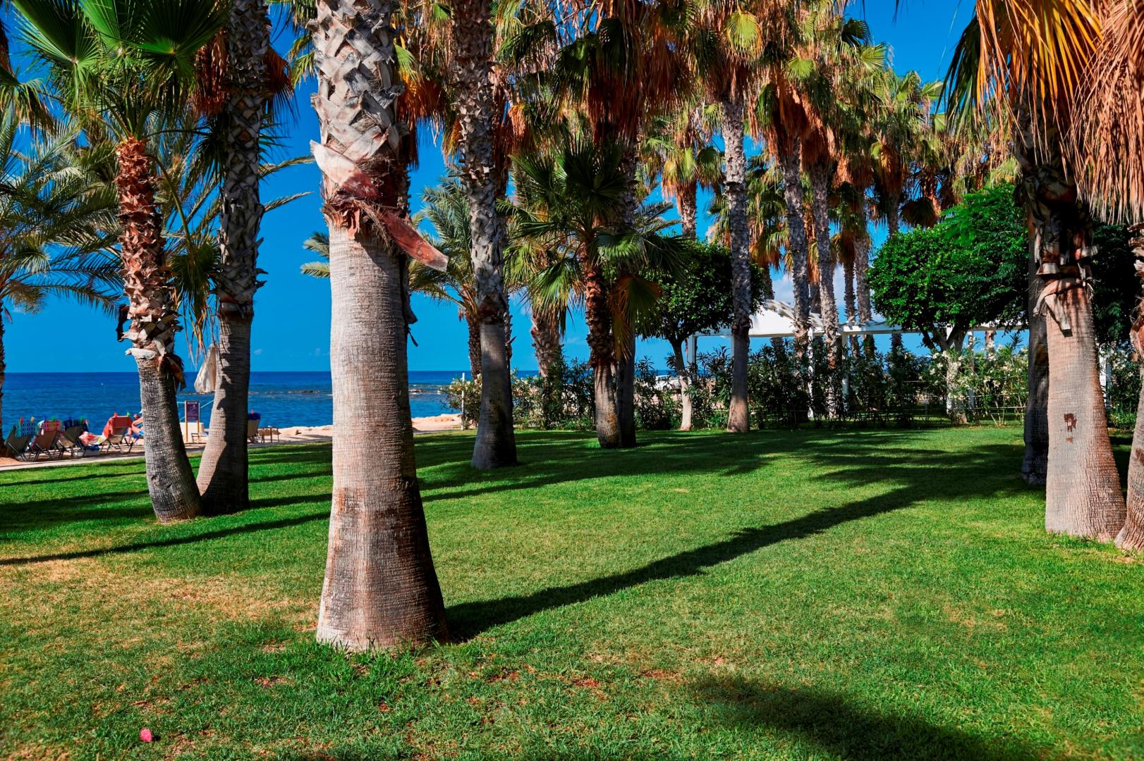 Louis Phaethon Beach foto 13
