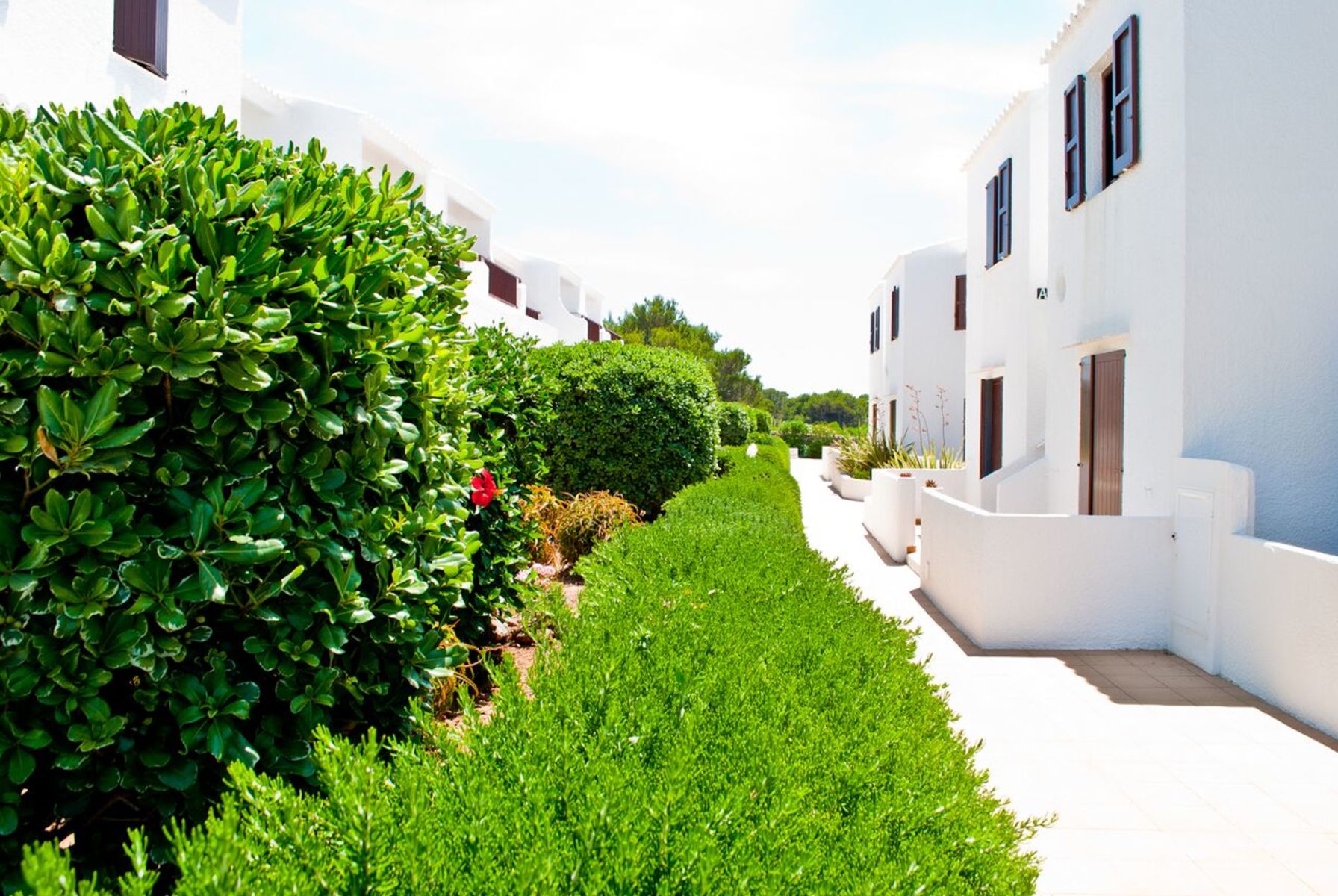 Apartamentos Sa Cala foto 11