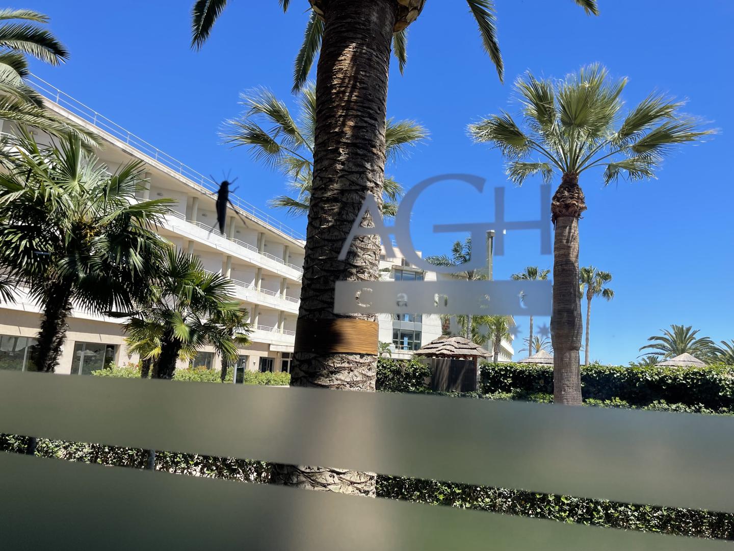 AGH Canet foto 17