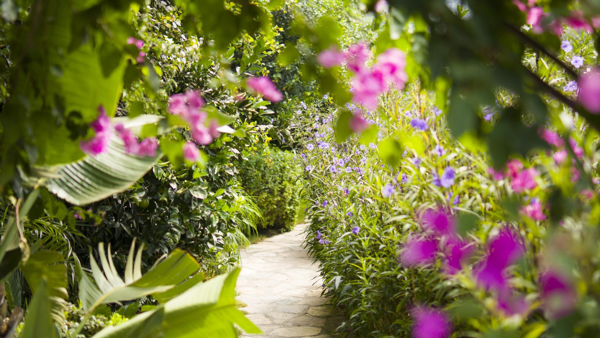 Bloementuin — Spektr Hotel Bodrum