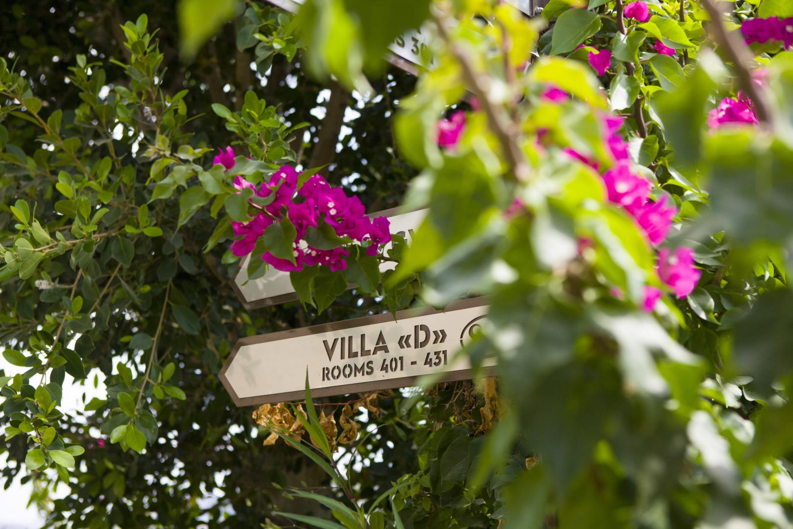 Tropische tuin met palmbomen — Spektr Hotel Bodrum