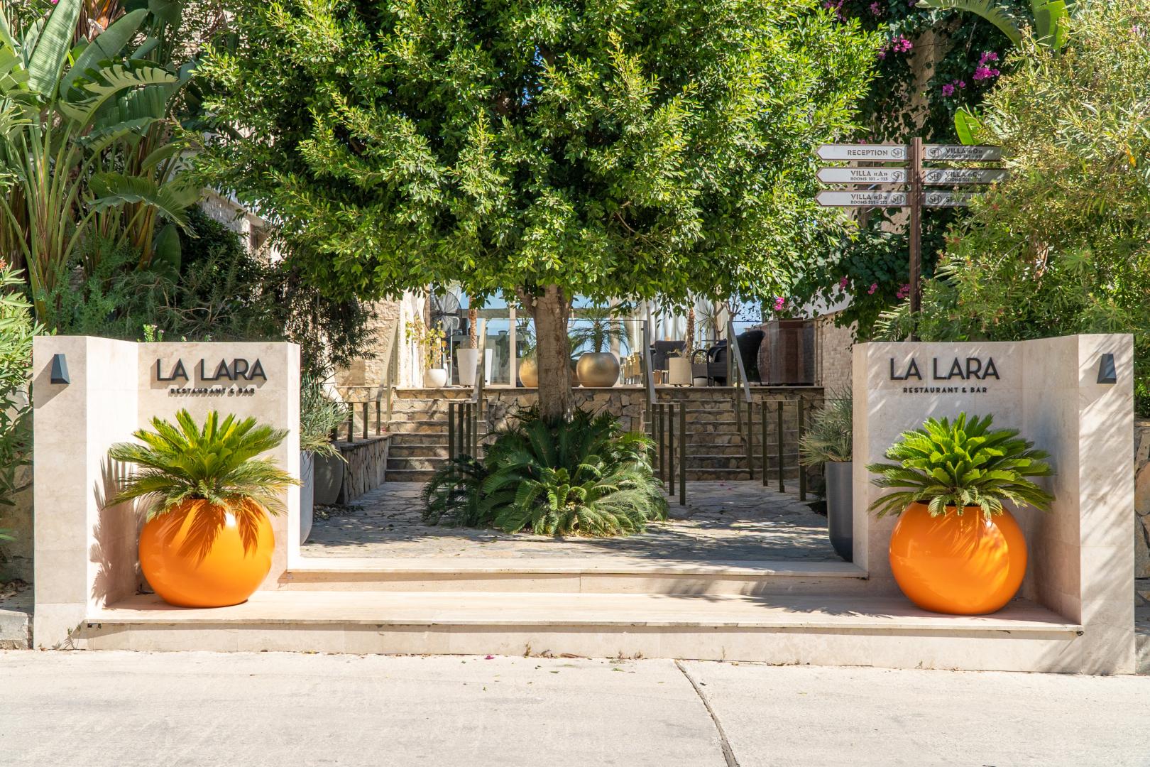 Tropische tuin met palmbomen — Spektr Hotel Bodrum