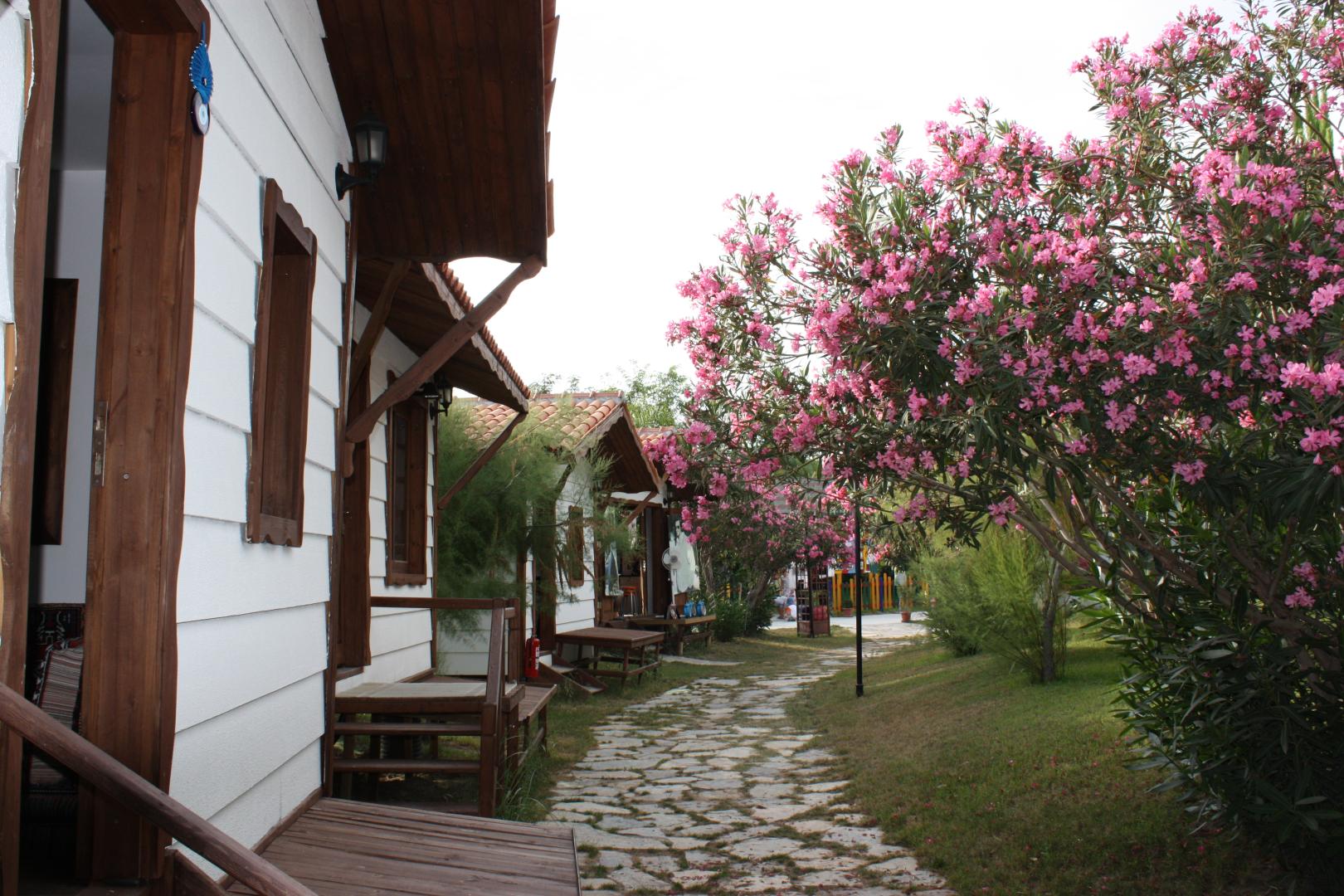 Armas Pemar Beach Resort foto 22