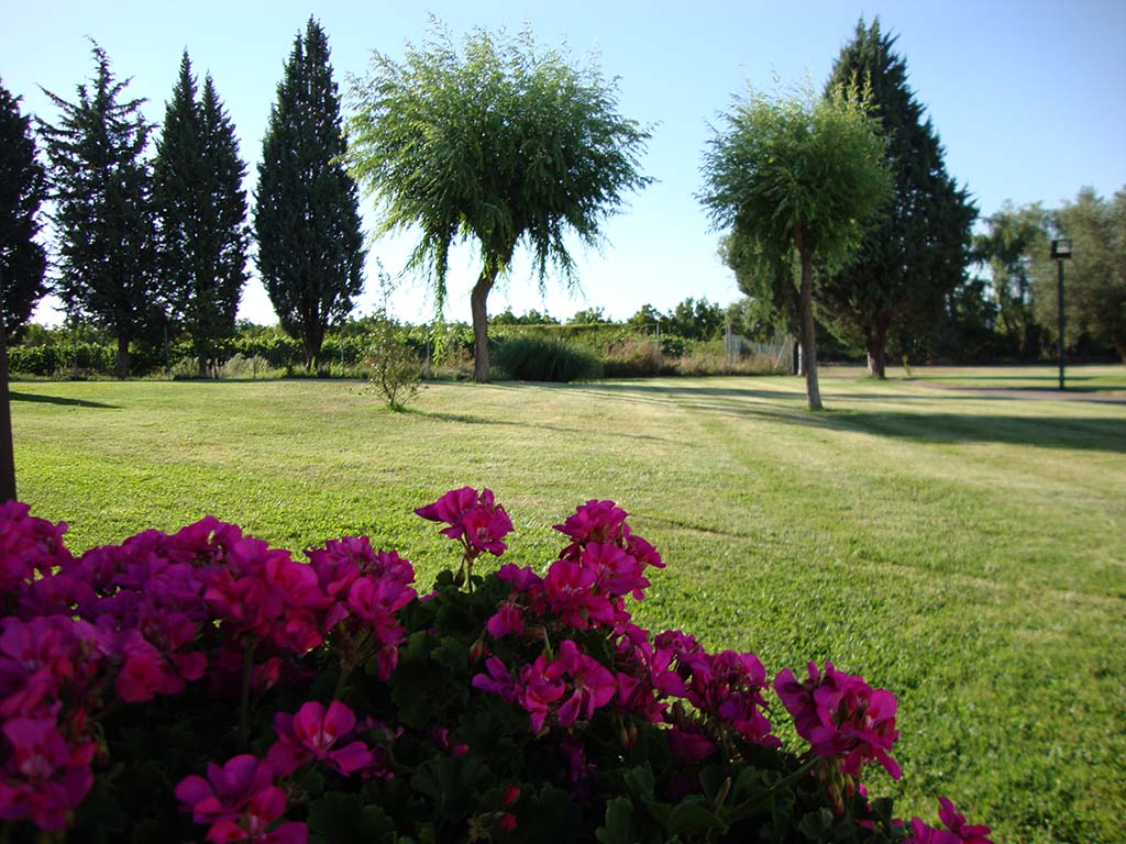 San Camilo foto 9