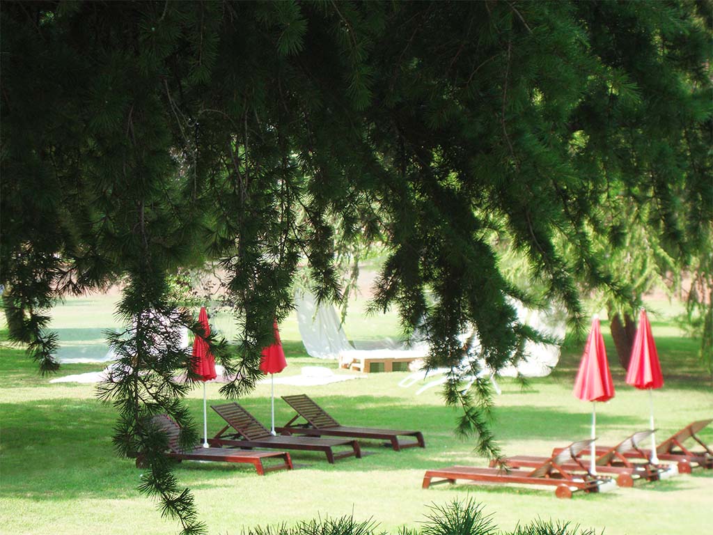 San Camilo foto 13
