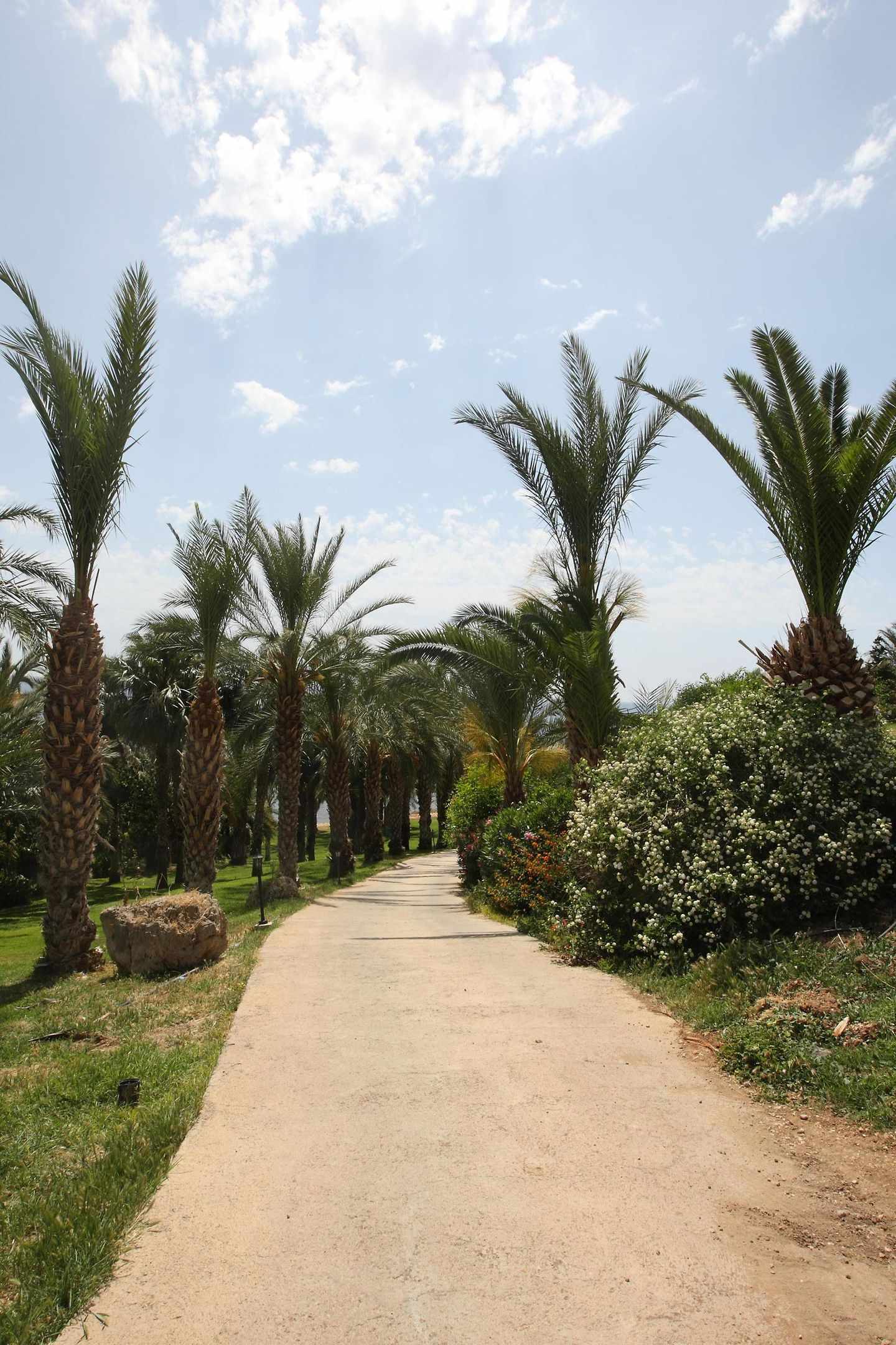 Ascos Coral Beach Hotel image 2