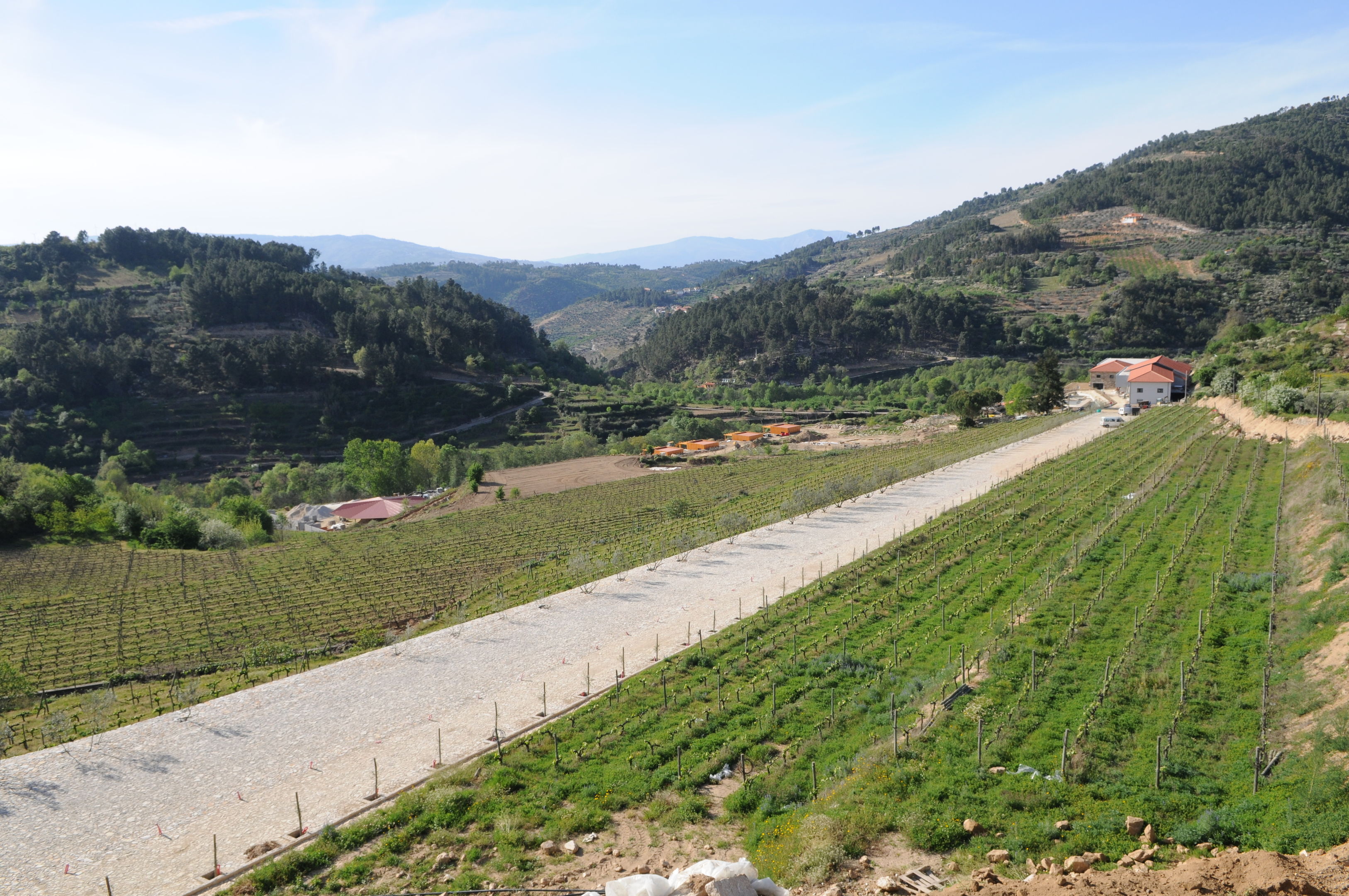 Douro Cister Hotel & SPA foto 6