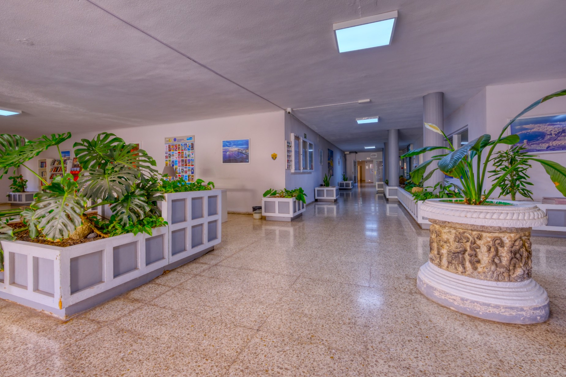 Costa Mar Apartments image 1