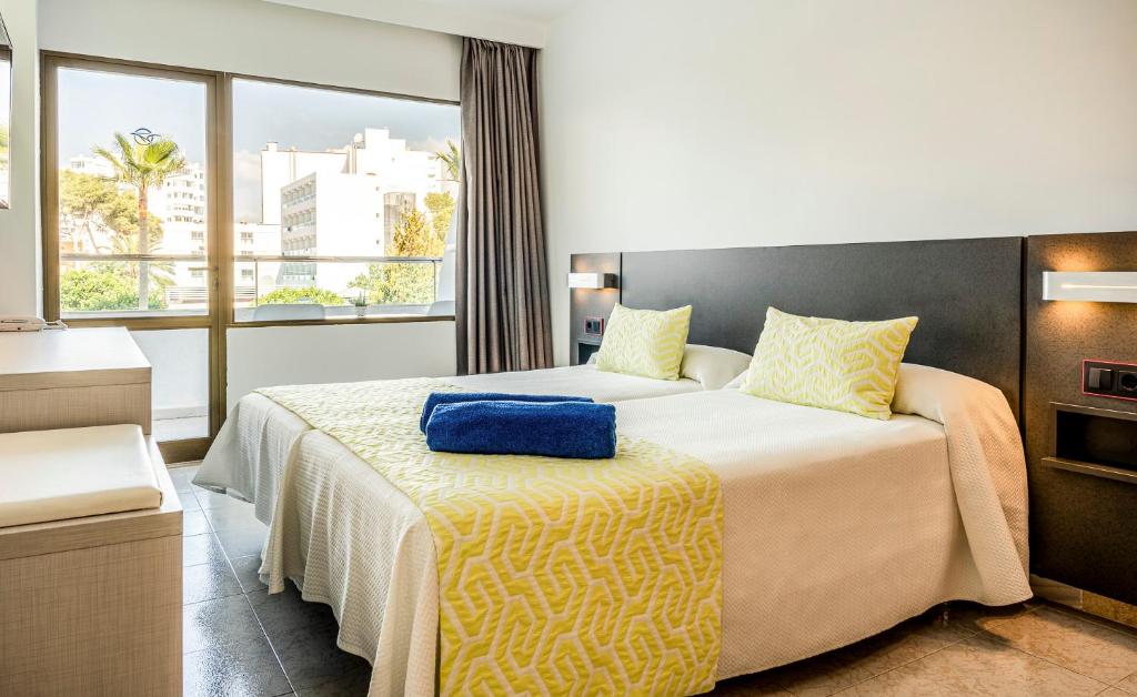 Globales Torrenova image 1