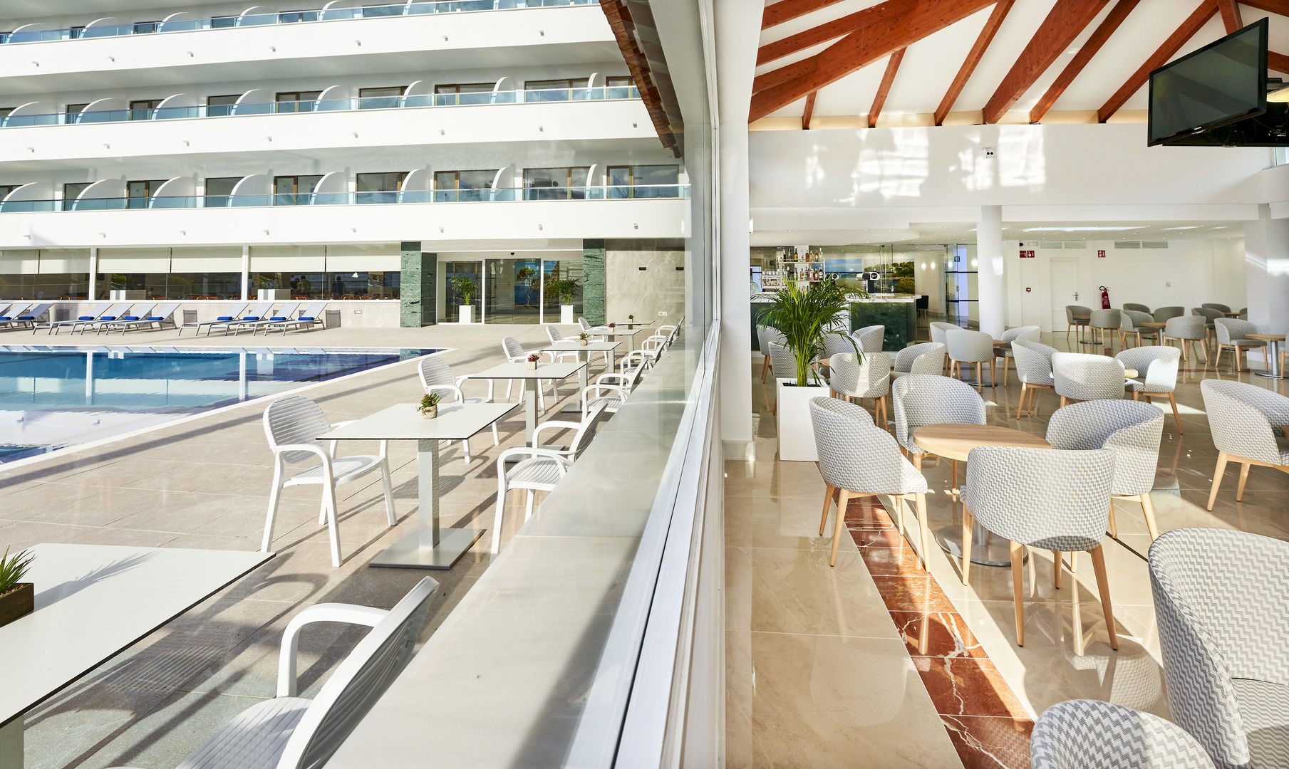 Globales Torrenova image 2