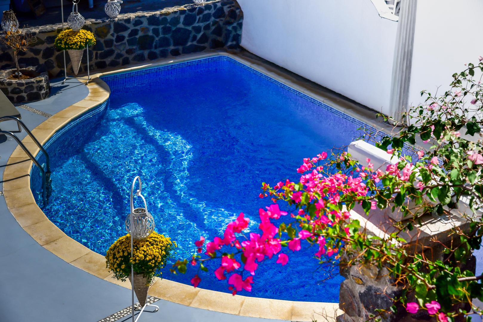 King's Suites foto 6