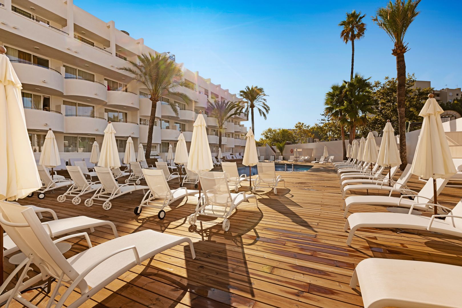 Palmanova Beach Apartments by TRH foto 10