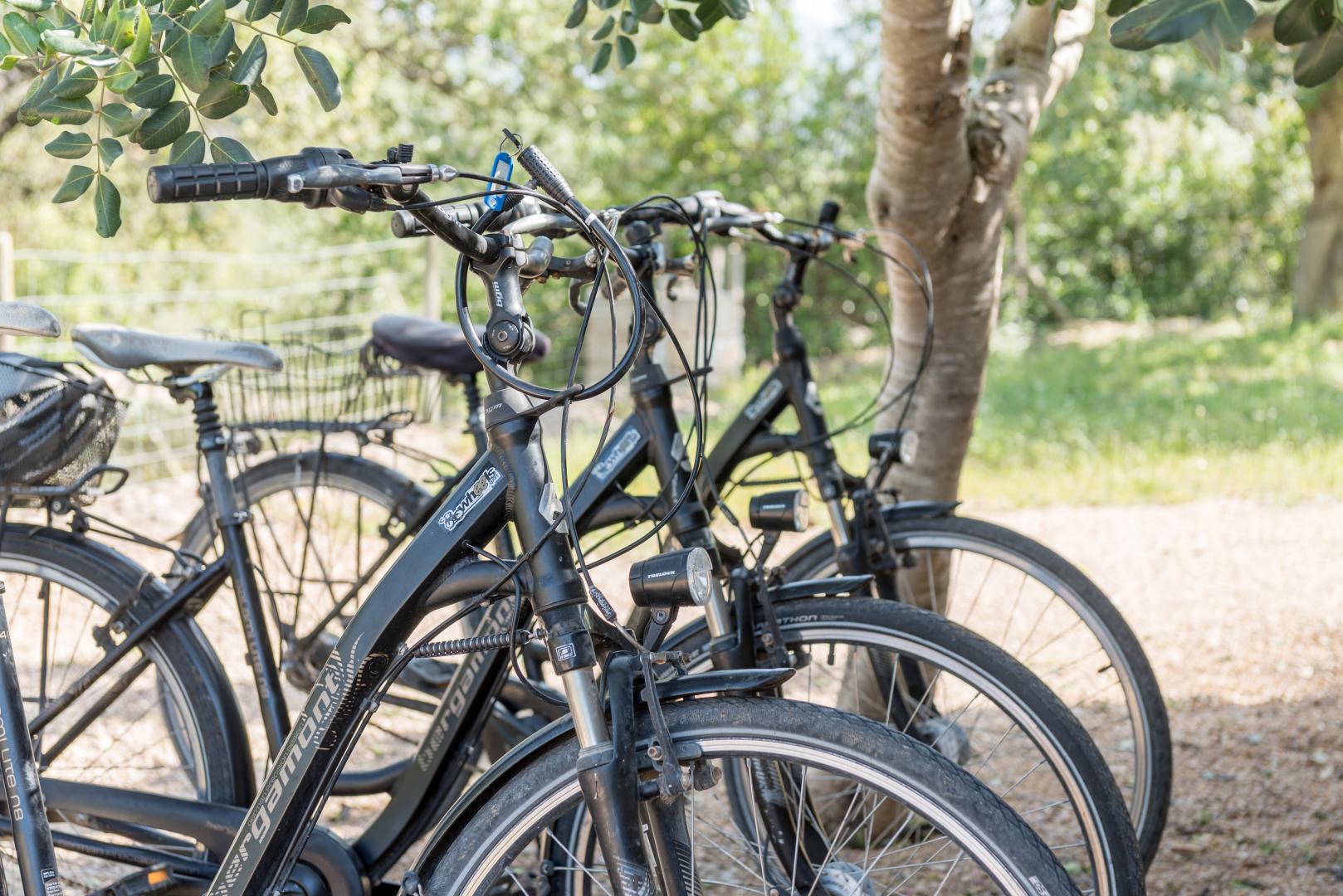 Utility — Cas Cabo Nou Agroturismo