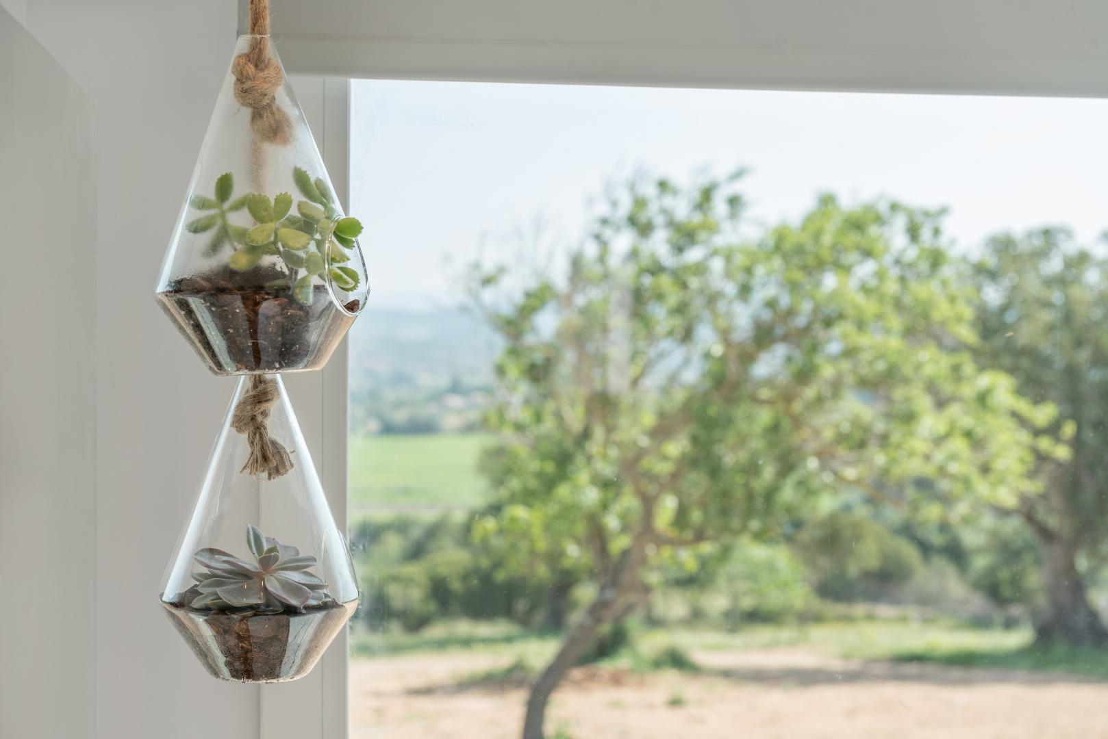 Zeezicht vanaf het balkon — Cas Cabo Nou Agroturismo