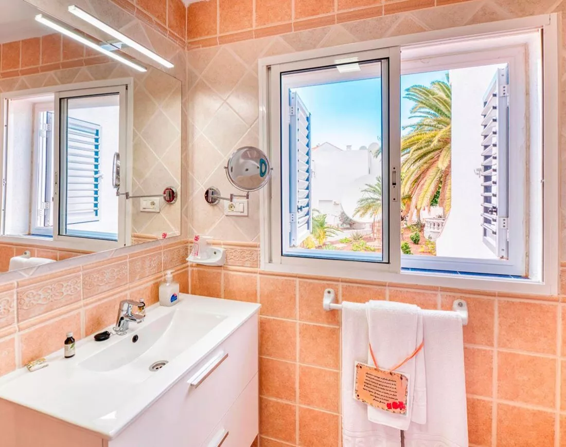 Ona los Claveles image 2