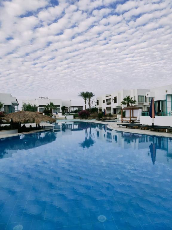 Badawia Sharm Resort foto 8