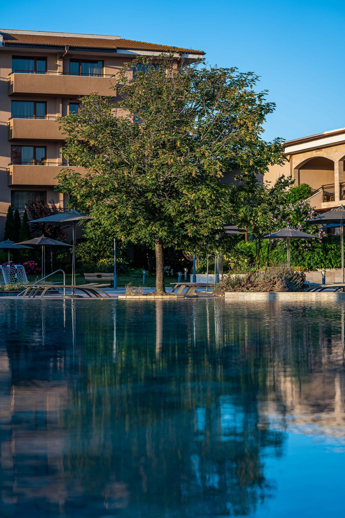 HVD Club Hotel Miramar foto 78