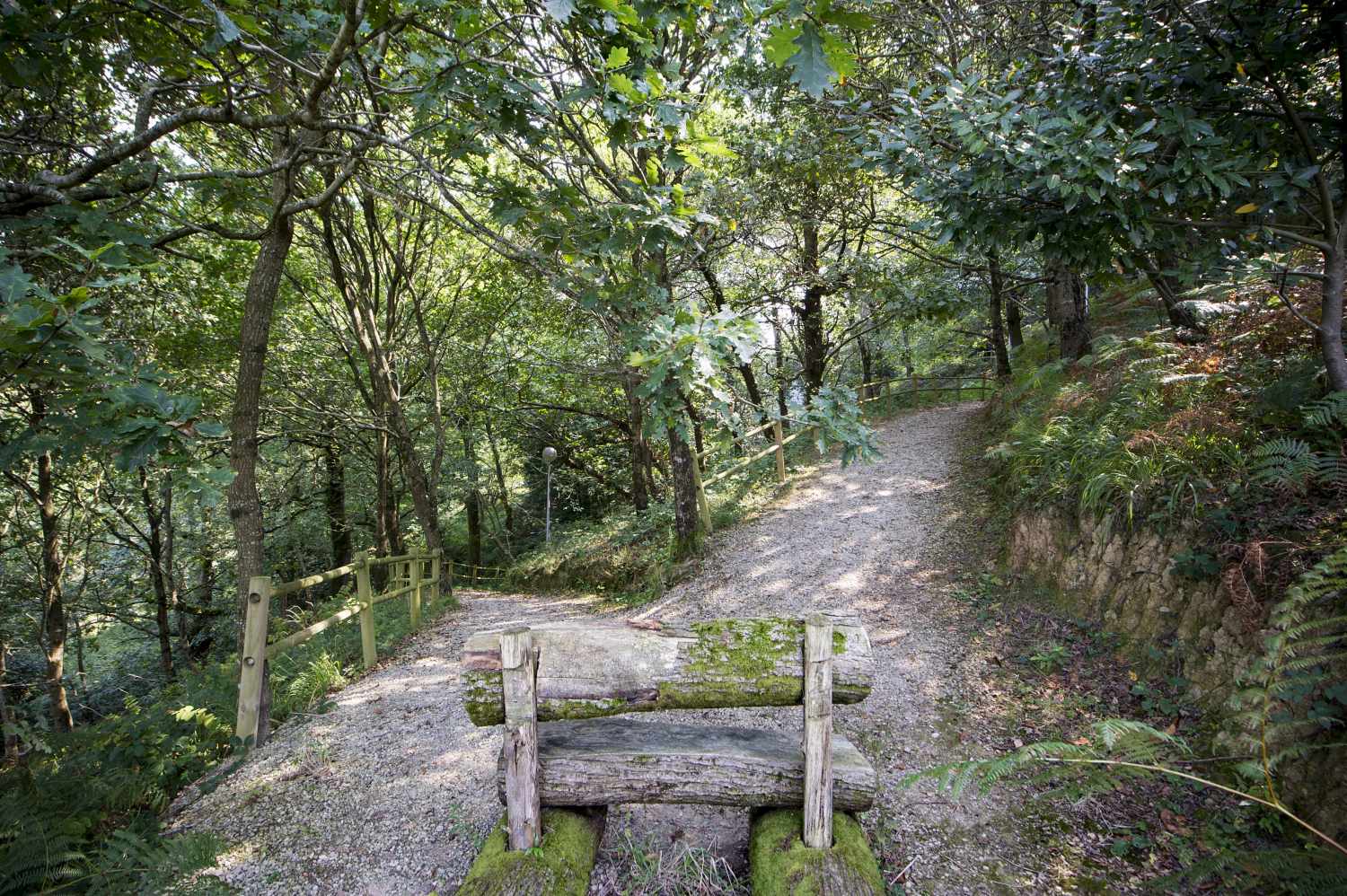 Parador de Limpias foto 16