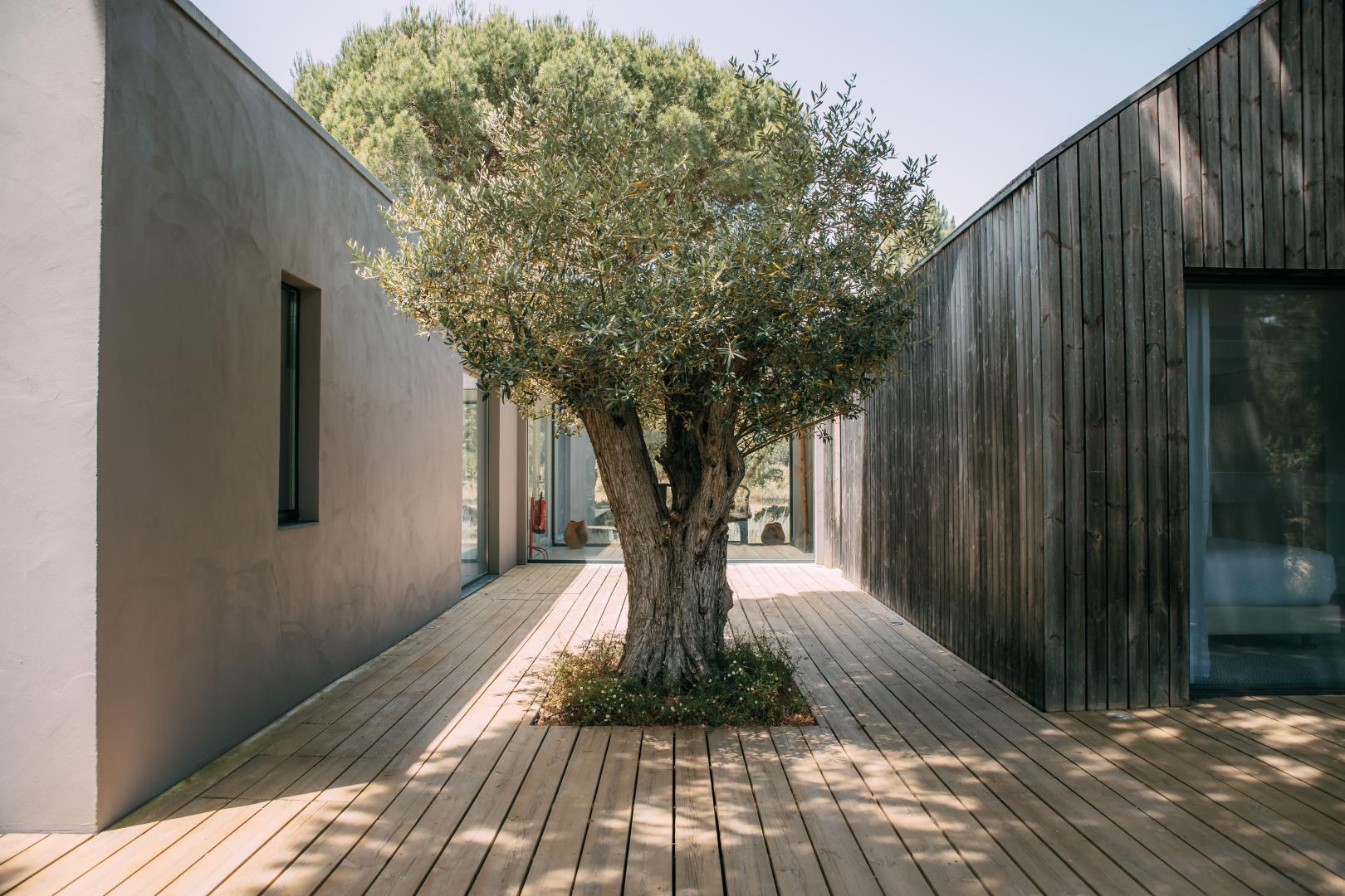 Sublime Comporta Country House Retreat foto 20