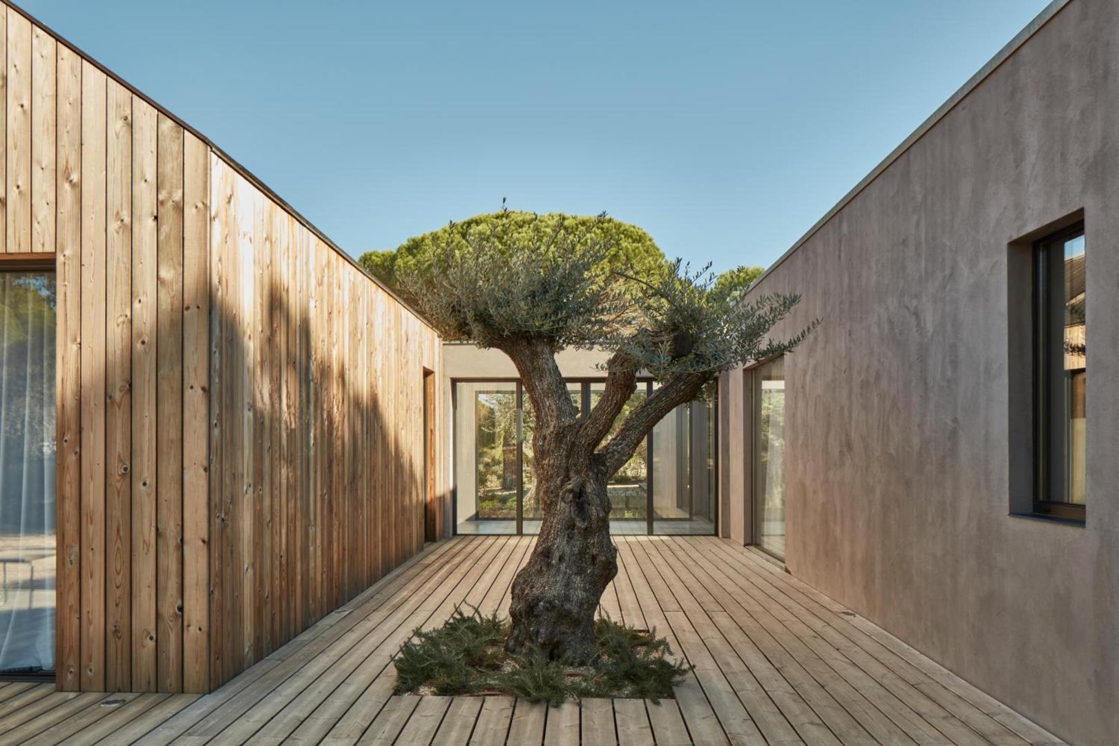 Sublime Comporta Country House Retreat image 3