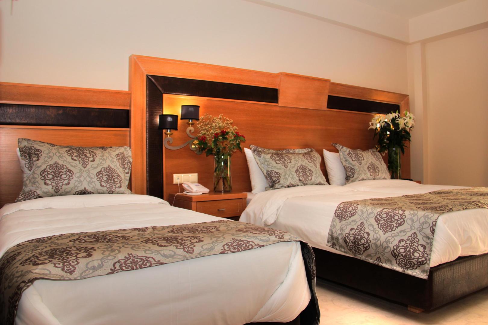 Grand Meteora Hotel image 1