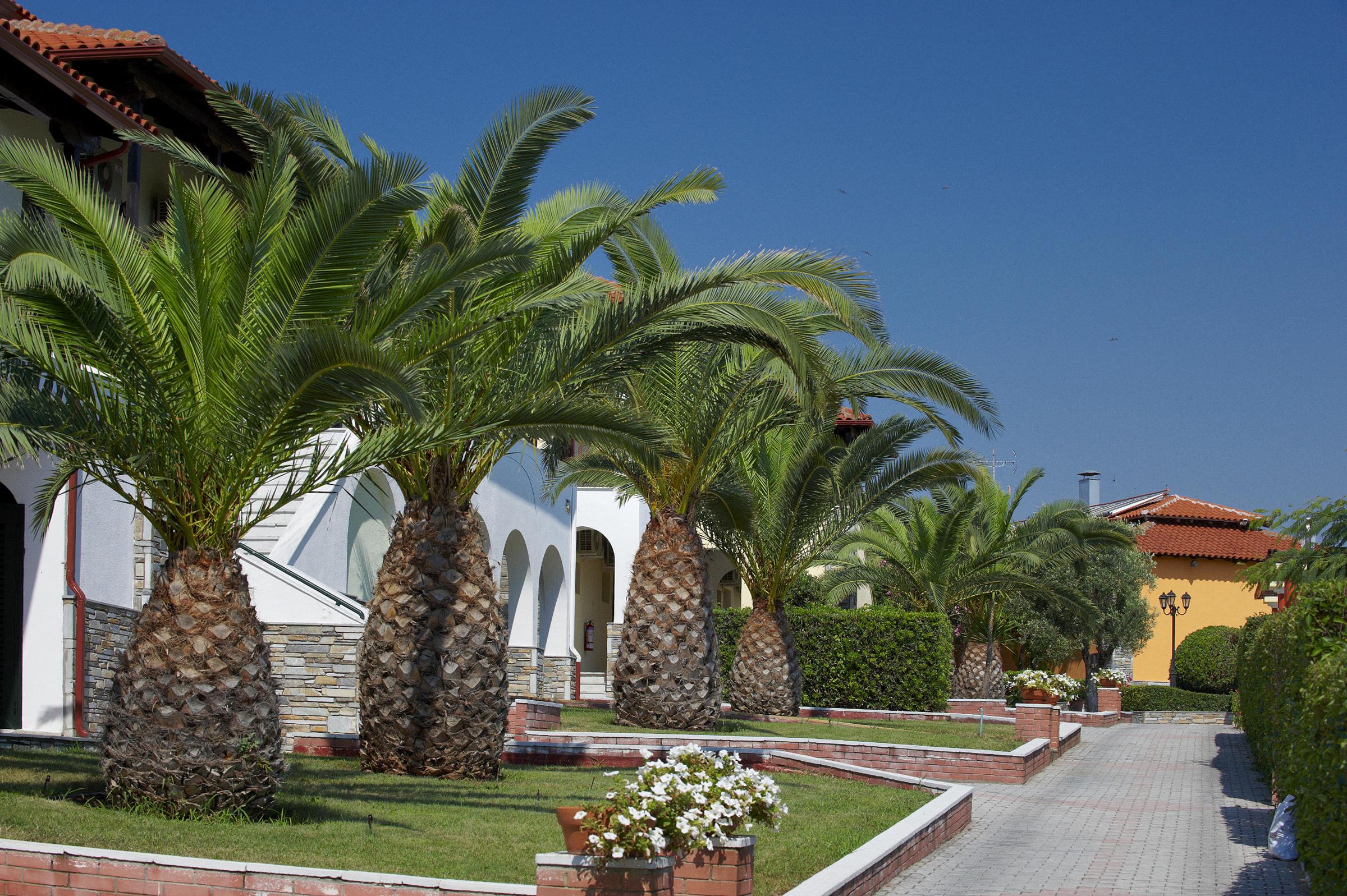 Blue Dolphin Hotel foto 13