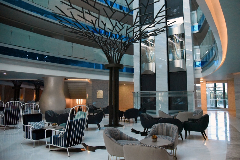 Royal Wings Hotel foto 67