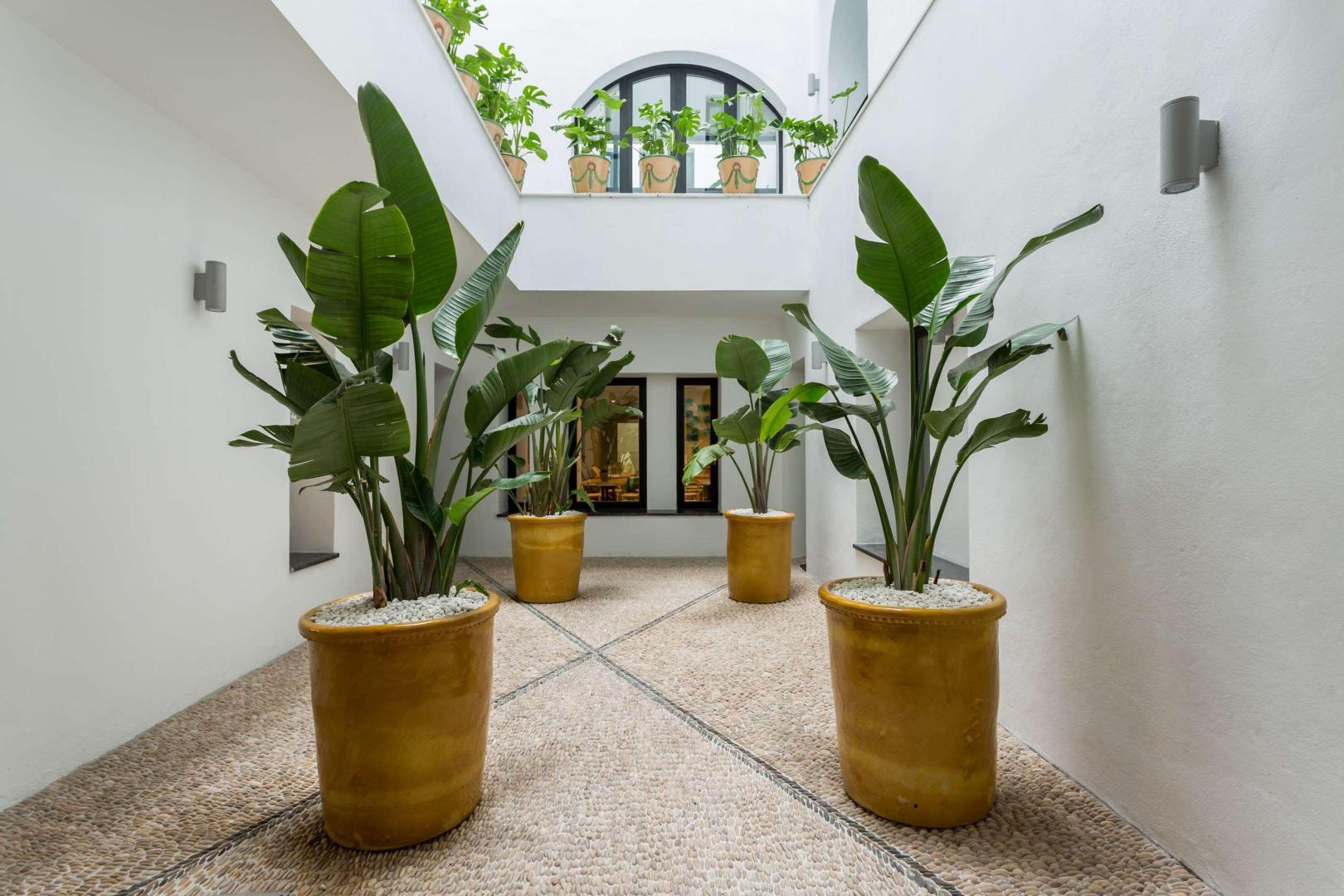 Tropische tuin met palmbomen — Room Mate Valeria