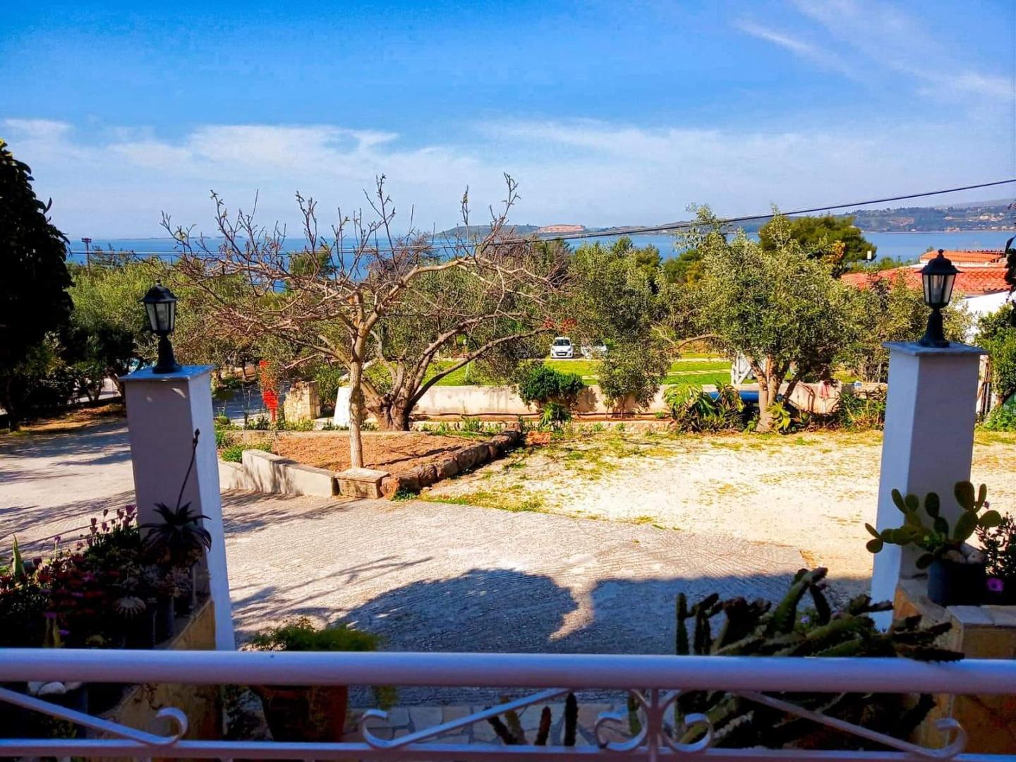 Oskars Studios foto 21