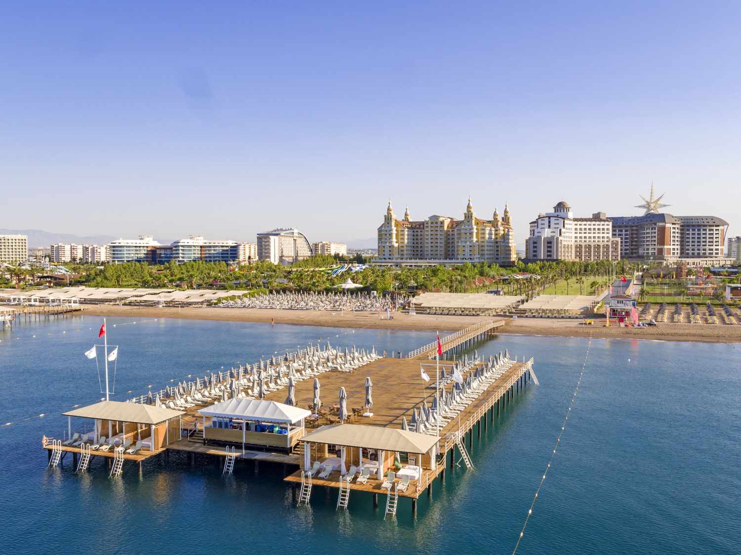 Royal Seginus image 2