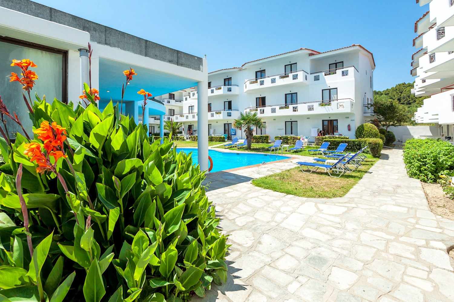 Xenios Dolphin Beach Hotel image 1