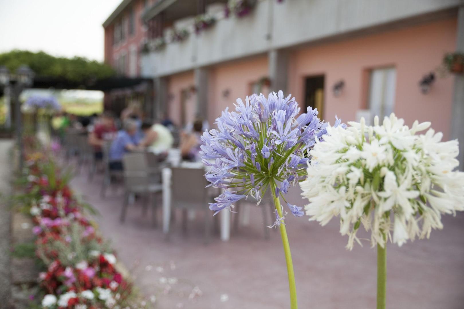 Hotel Bella Lazise foto 21