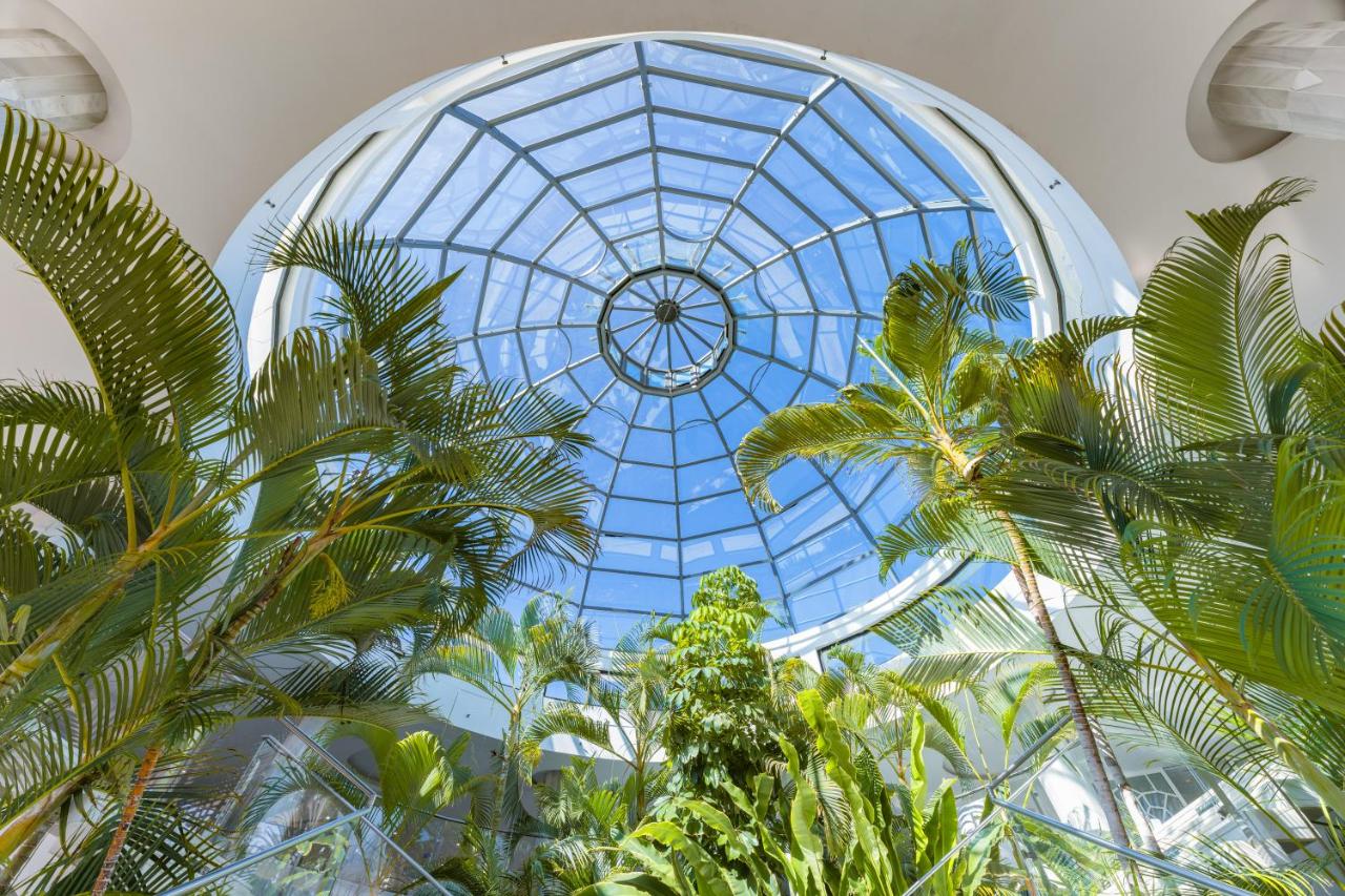 een glazen plafond met palmbomen in een gebouw bij Elba Premium Suites - Adults Only in Playa Blanca