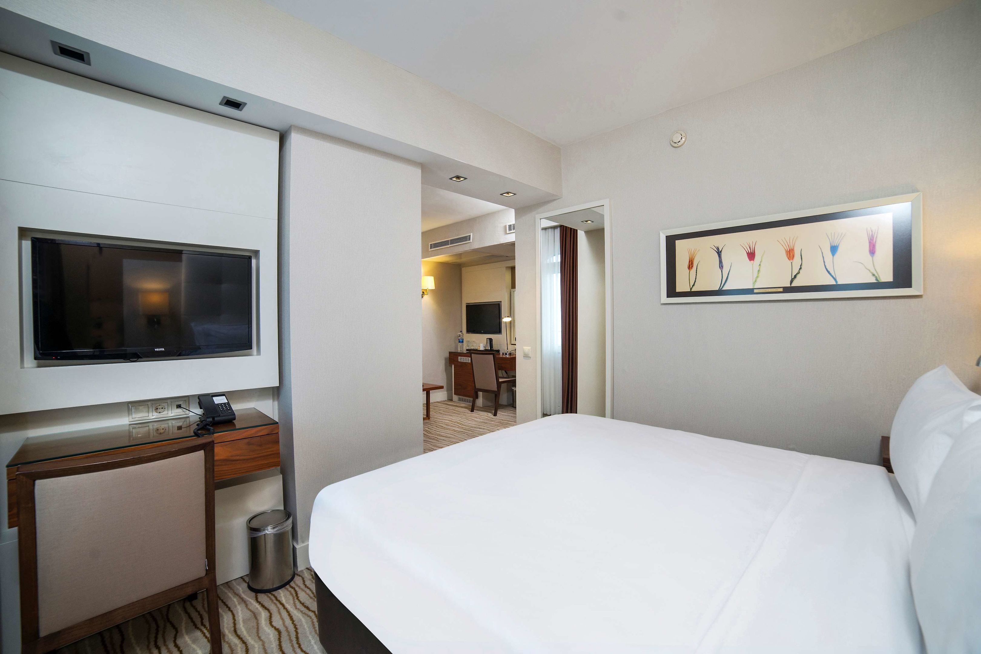 Radisson Hotel Istanbul Sultanahmet foto 16
