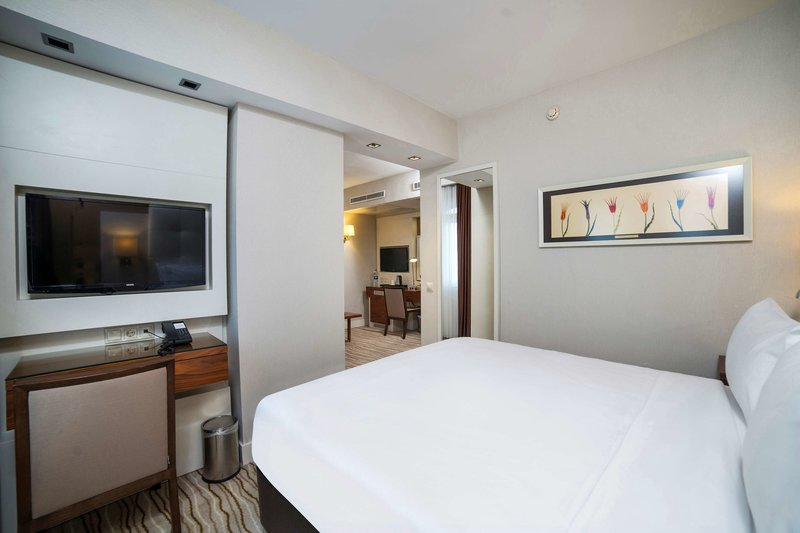 Radisson Hotel Istanbul Sultanahmet foto 14