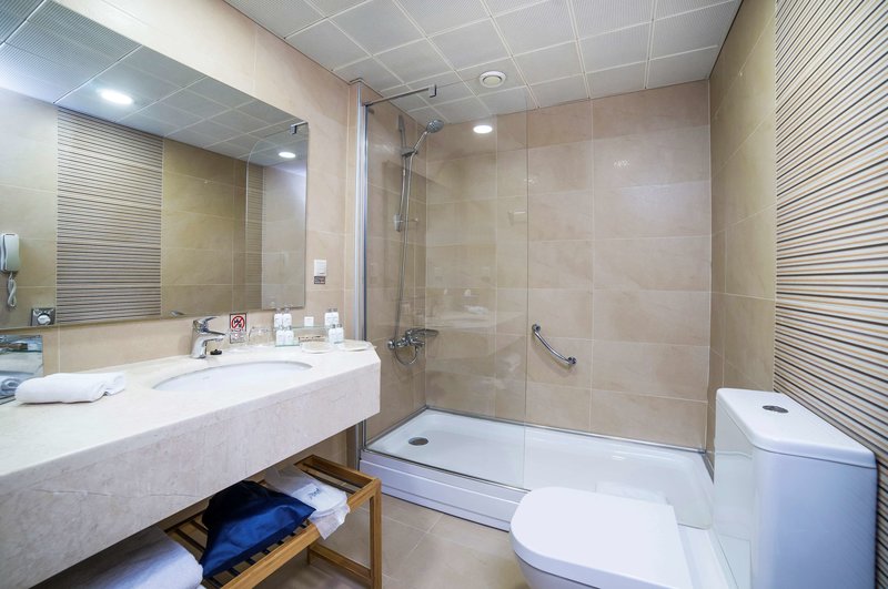 Radisson Hotel Istanbul Sultanahmet foto 65