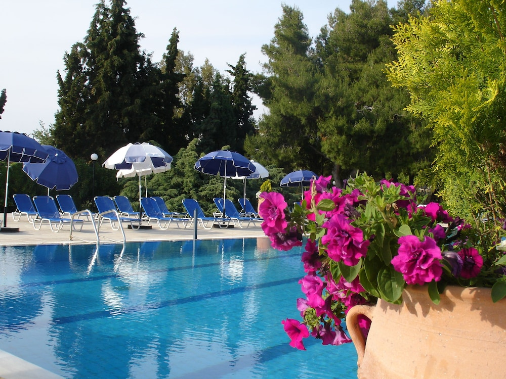 Kassandra Mare Hotel & Spa foto 21