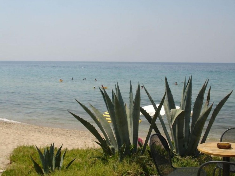 Kassandra Mare Hotel & Spa foto 36