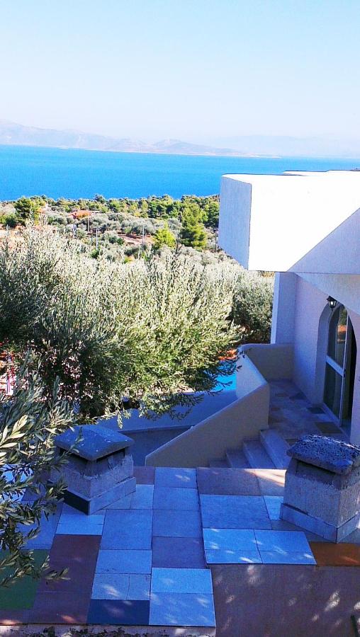 Villa Konaki foto 3