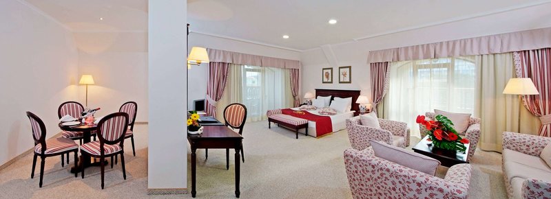 Meliá Grand Hermitage foto 409