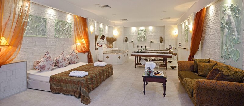 Meliá Grand Hermitage foto 55