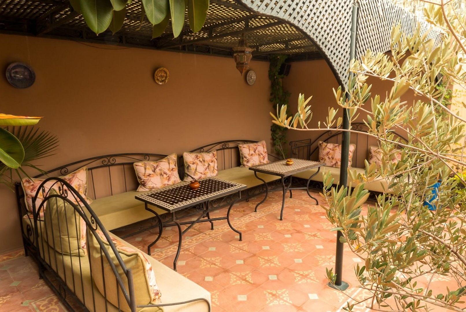 Riad Errabii foto 10