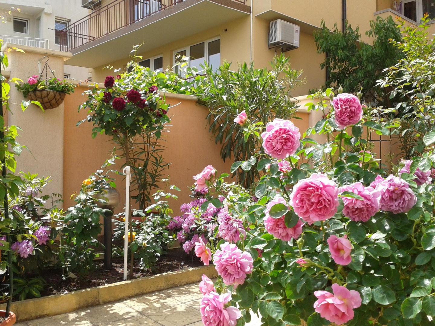 Hotel Chuchulev foto 12