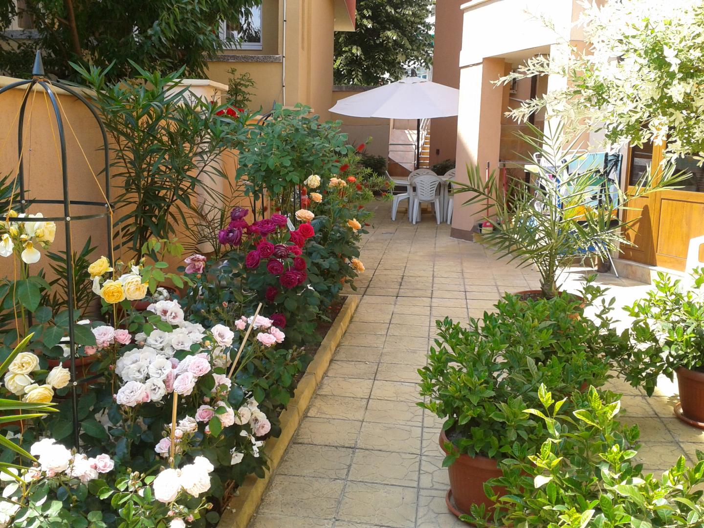 Hotel Chuchulev foto 20