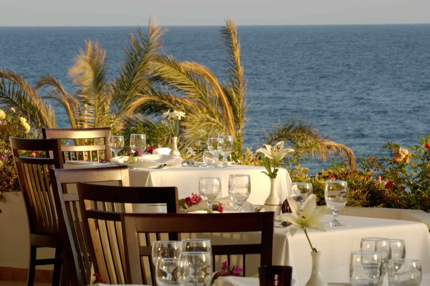 Constantinou Bros Athena Royal Beach Hotel foto 10