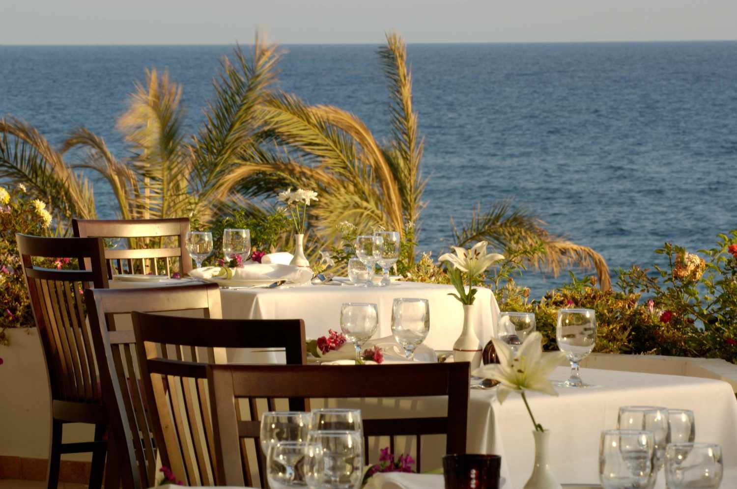 Constantinou Bros Athena Royal Beach Hotel foto 63
