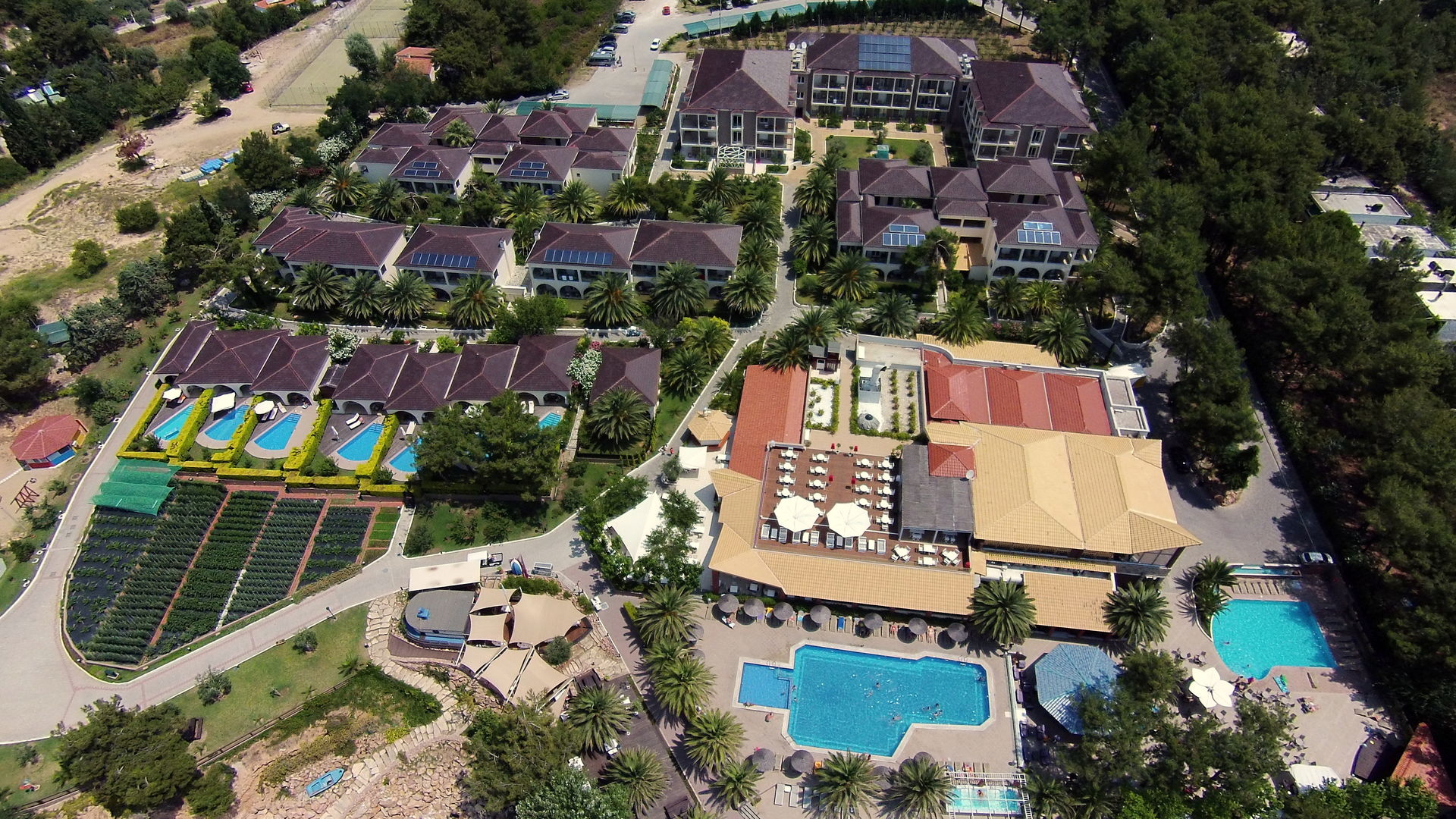 Alexandra Beach Thassos Spa Resort image 1