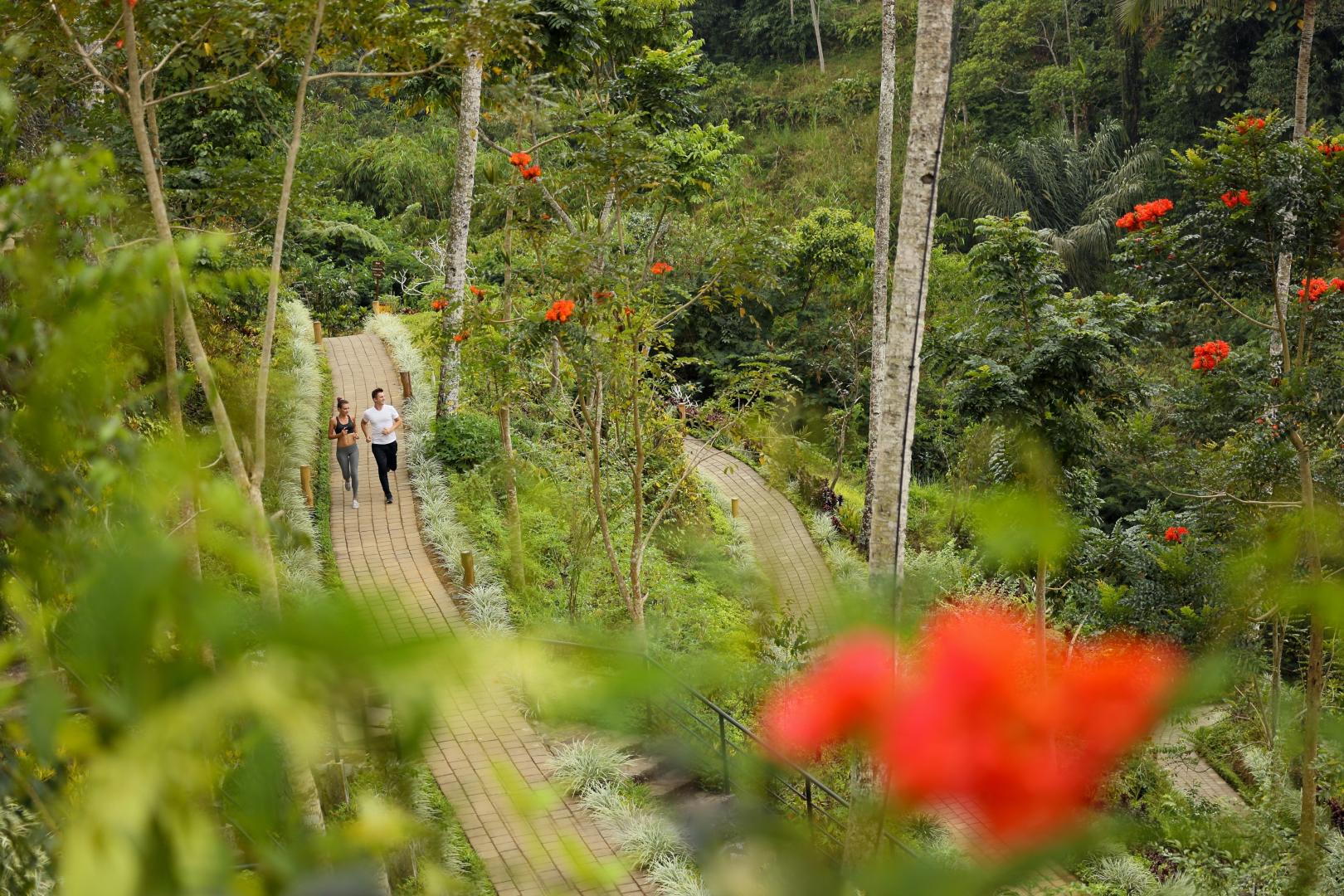Padma Resort Ubud foto 22