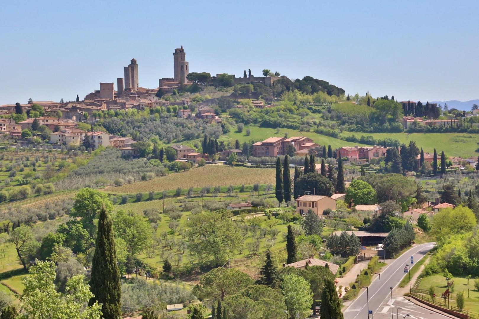 La Collegiata foto 23